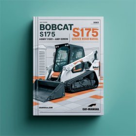 BOBCAT S175 SN A8NY11001-A8NY59999 Manual de servicio y reparación