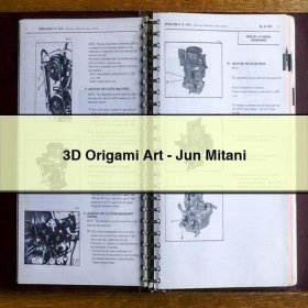 3D Origami Art-Jun Mitani