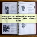 The Pinyon Jay: Behavioral Ecology of a Colonial and Cooperative Corvid-Russel P. Balda