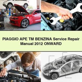 PIAGGIO APE TM BENZINA Manual de servicio y reparación 2012 Onward