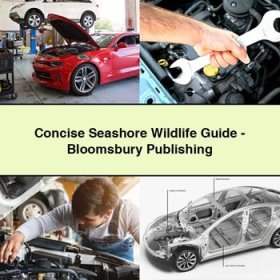 Concise Seashore Wildlife Guide-Bloomsbury Publishing