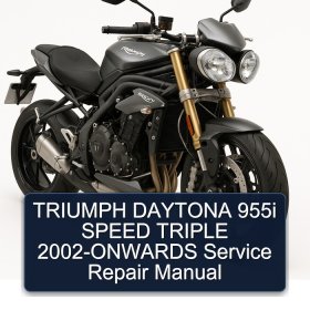 TRIUMPH DAYTONA 955i SPEED TRIPLE 2002-ONWARDS Manual de servicio y reparación
