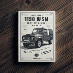 David Brown 1190 WSM Servicehandbuch