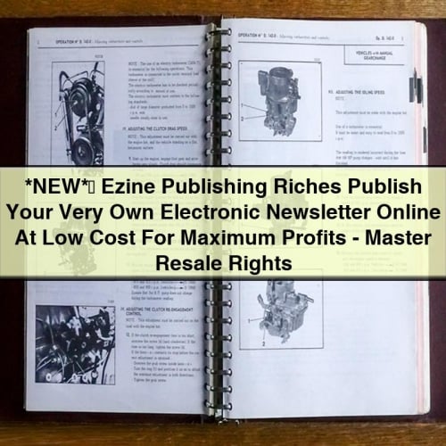 Electronic Newsletter Publishing: Low-Cost Profits with Master Resale Rights