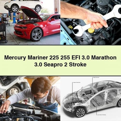 Mercury Mariner 225 255 EFI 3.0 Marathon 3.0 Seapro 2 Stroke