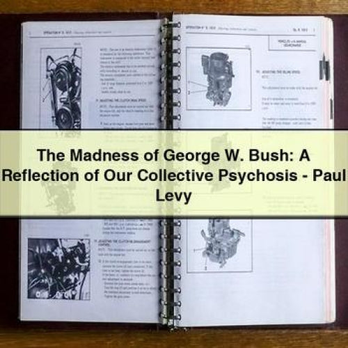 The Madness of George W. Bush: A Reflection of Our Collective Psychosis - Paul Levy