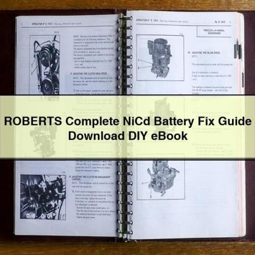 ROBERTS Complete NiCd Battery Fix Guide Download DIY eBook