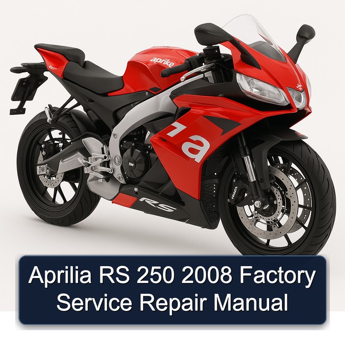 Aprilia RS 250 2008 Factory Service Repair Manual
